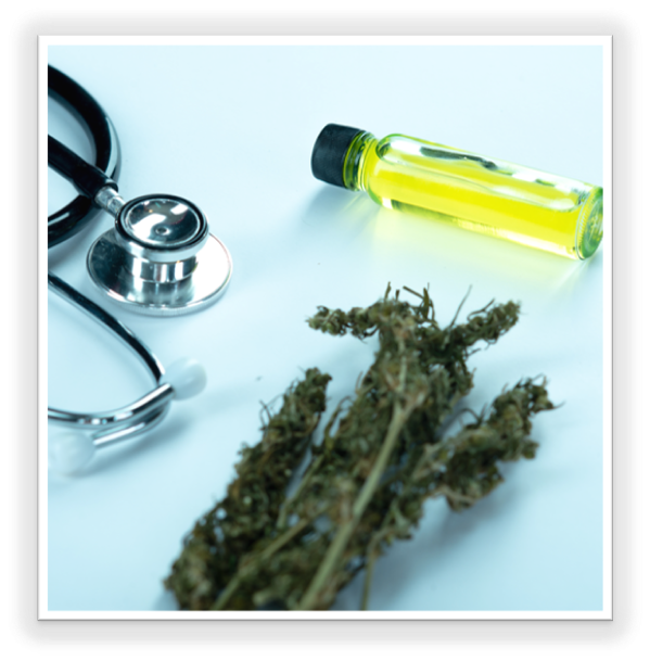 Cannabis